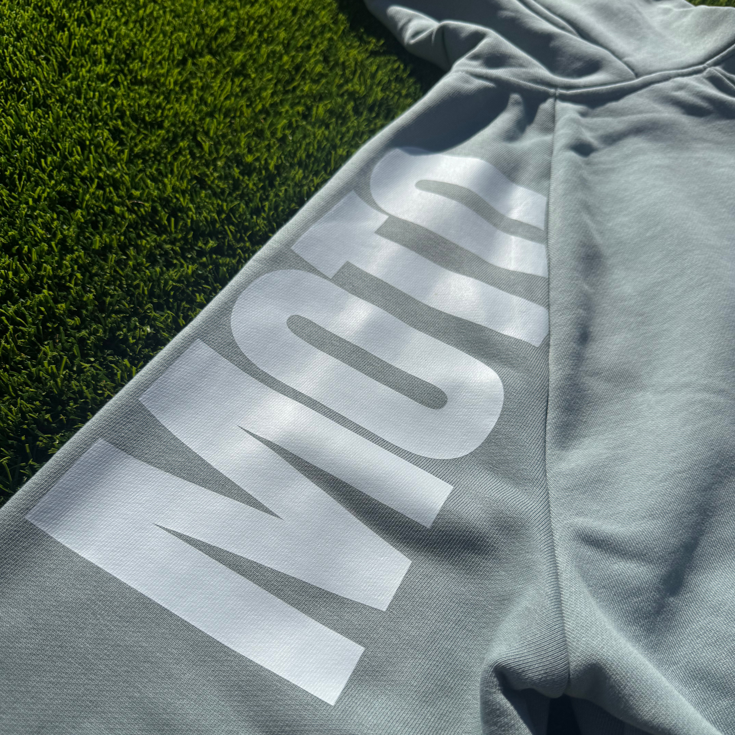 F & F Hoodie (blu/whi)