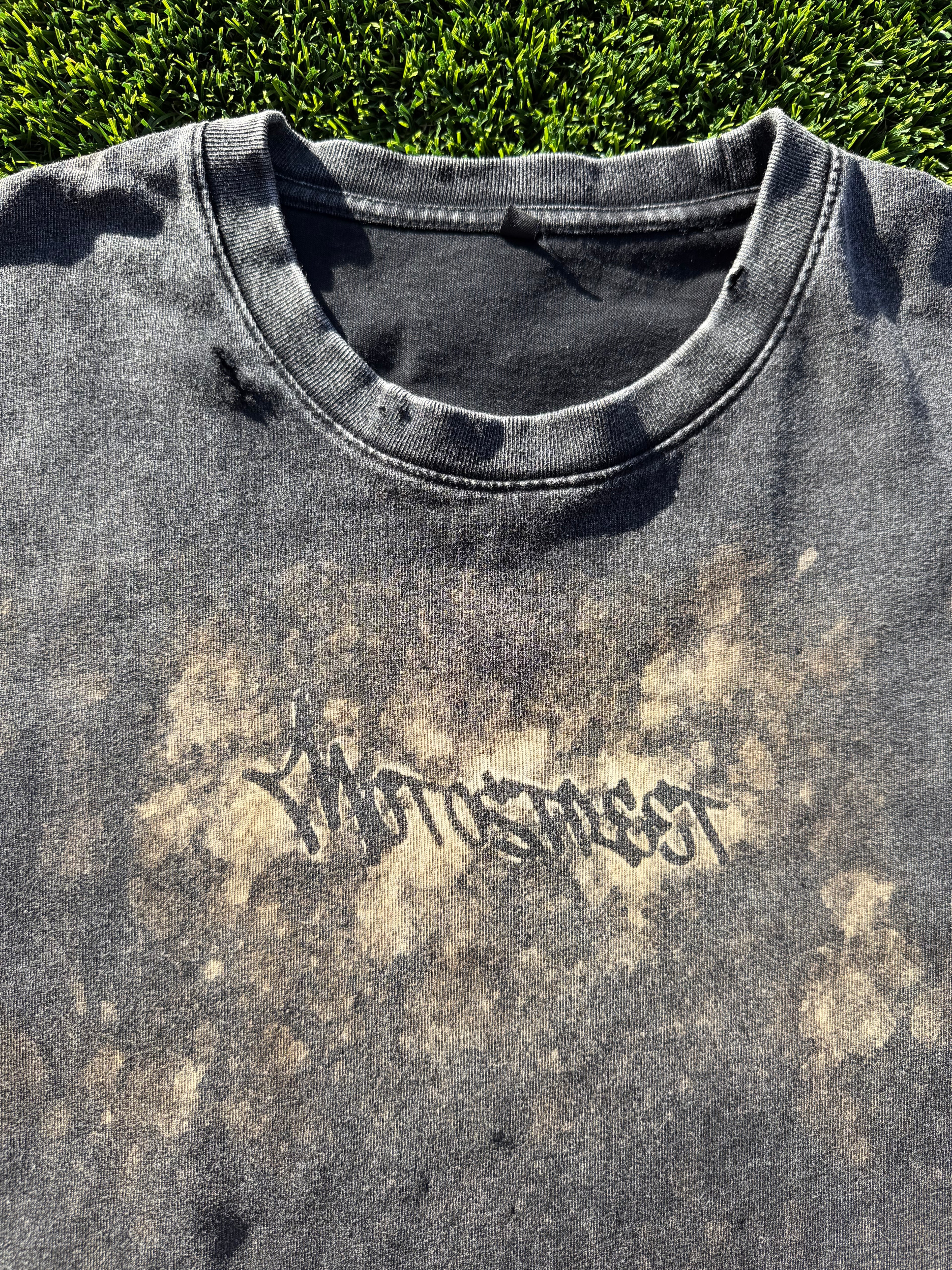 REMNANT TS